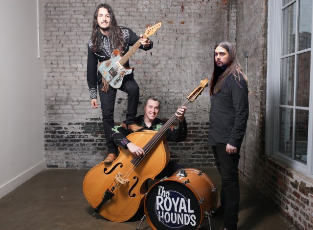 The Royal Hounds Promo